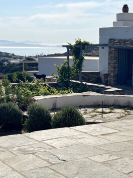 Sifnos Home